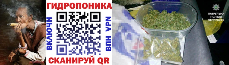 МЕТАДОН Ленинск