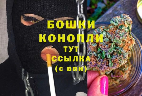 бошки Ельня