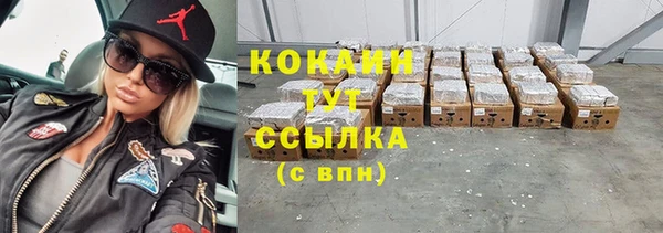 бошки Ельня